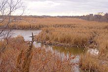 New Jersey Meadowlands httpsuploadwikimediaorgwikipediacommonsthu