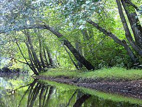 New Jersey Pinelands National Reserve httpsuploadwikimediaorgwikipediacommonsthu