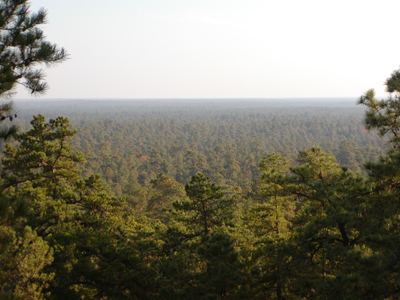 New Jersey Pinelands National Reserve New Jersey Pinelands Commission The Pinelands National Reserve