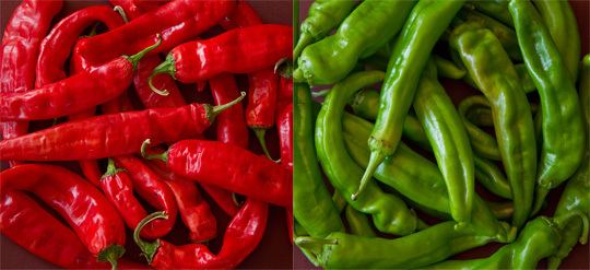 New Mexico chile Red or Green New Mexico Chile Information from MJ39s Kitchen