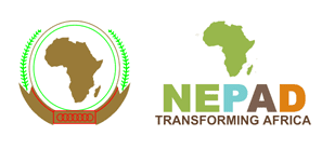 New Partnership for Africa's Development wwwunorgenafricaosaaimagesnepadlogopng