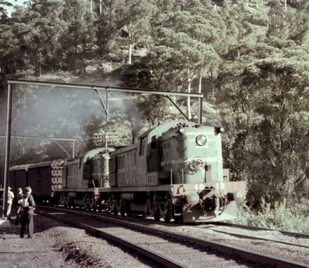 New South Wales 40 class locomotive