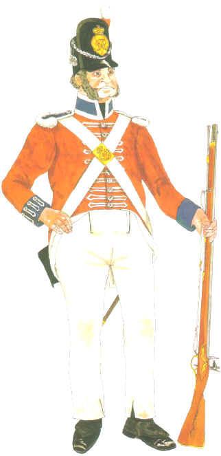 New South Wales Corps wwwdiggerhistoryinfoimagesuniforms308invalidjpg
