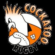 New South Wales Country Cockatoos httpsuploadwikimediaorgwikipediaenthumb9