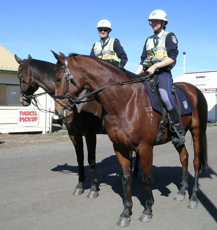 New South Wales Mounted Police