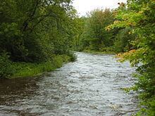 New Wood River httpsuploadwikimediaorgwikipediacommonsthu