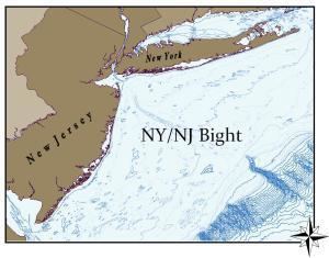 New York Bight The NYNJ Ocean CleanOceanZone