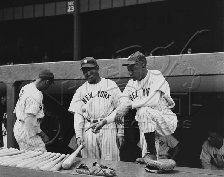 New York Black Yankees (1932-1948) •
