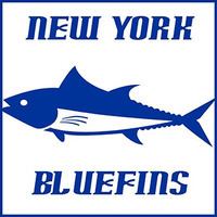 New York Bluefins httpsuploadwikimediaorgwikipediaenthumb5