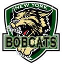 New York Bobcats httpsuploadwikimediaorgwikipediaenthumba