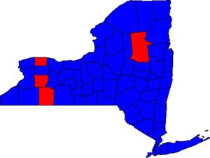 New York gubernatorial election, 2006 httpsuploadwikimediaorgwikipediacommonsthu