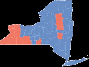 New York gubernatorial election, 2010 httpsuploadwikimediaorgwikipediacommonsthu