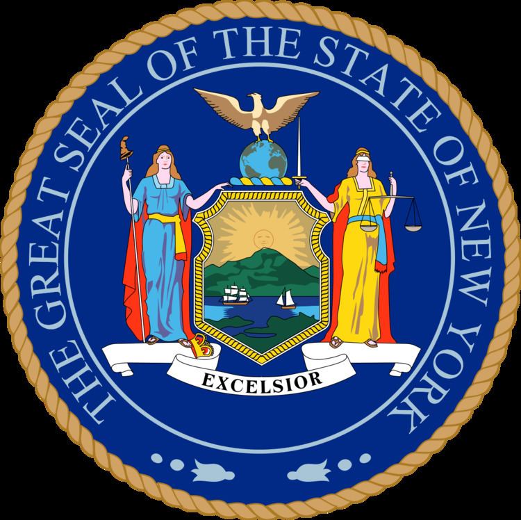 New York gubernatorial election, 2018