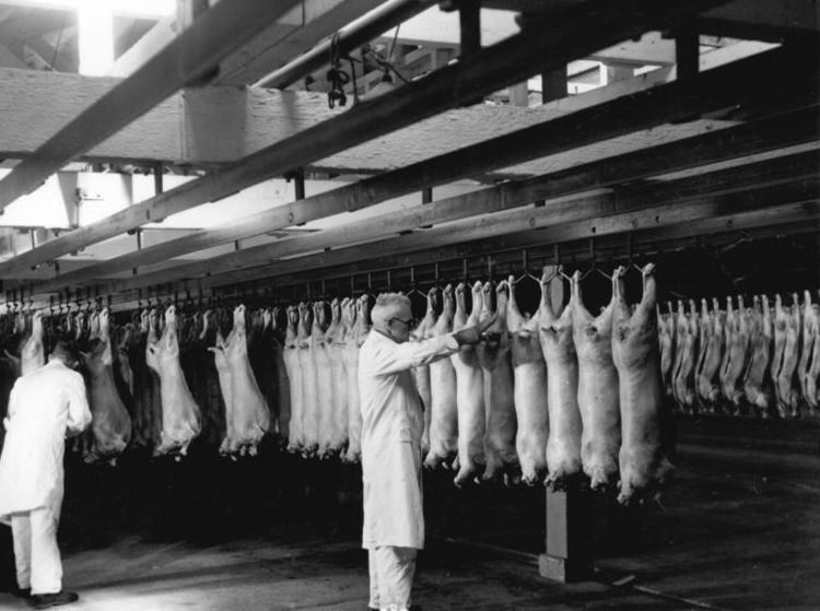 New Zealand Meat Producers Board