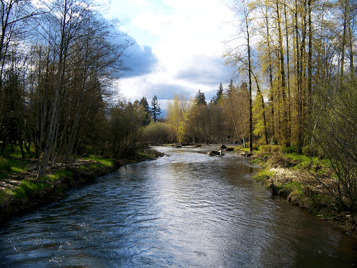 Newaukum River httpsliprippersfishingfileswordpresscom2013