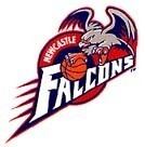 Newcastle Falcons (basketball) httpsuploadwikimediaorgwikipediaen66fNew