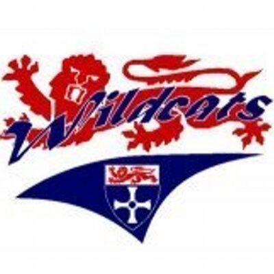 Newcastle Wildcats httpspbstwimgcomprofileimages155586047850