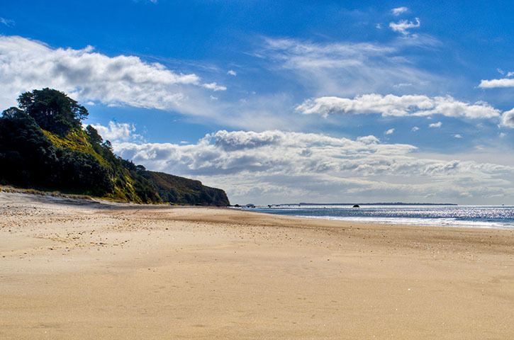 Newdicks Beach Newdicks Beach Beaches Bay of Plenty New Zealand