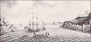 Newfoundland expedition httpsuploadwikimediaorgwikipediacommonsthu