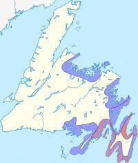Newfoundland general election, 1832 httpsuploadwikimediaorgwikipediacommonsthu