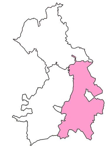 Newmarket (UK Parliament constituency)