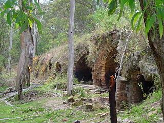 Newnes, New South Wales httpsuploadwikimediaorgwikipediacommonsthu