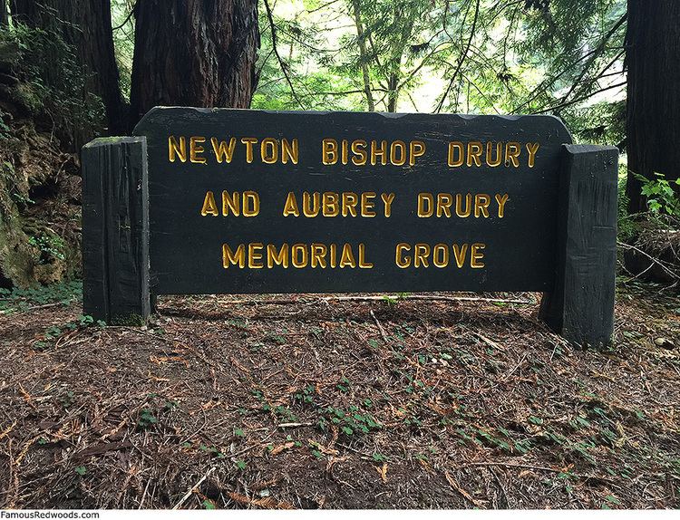 Newton B. Drury Newton B Drury Tree Famous Redwoods