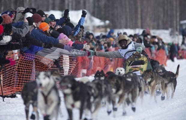Newton Marshall The 2010 Iditarod Trail Sled Dog Race in Alaska Telegraph