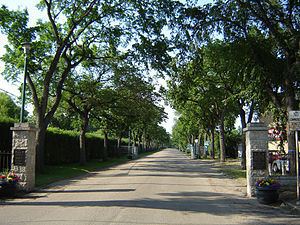 Next of Kin Memorial Avenue httpsuploadwikimediaorgwikipediacommonsthu