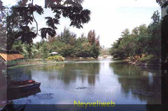 Neyveli Tourist places in Neyveli