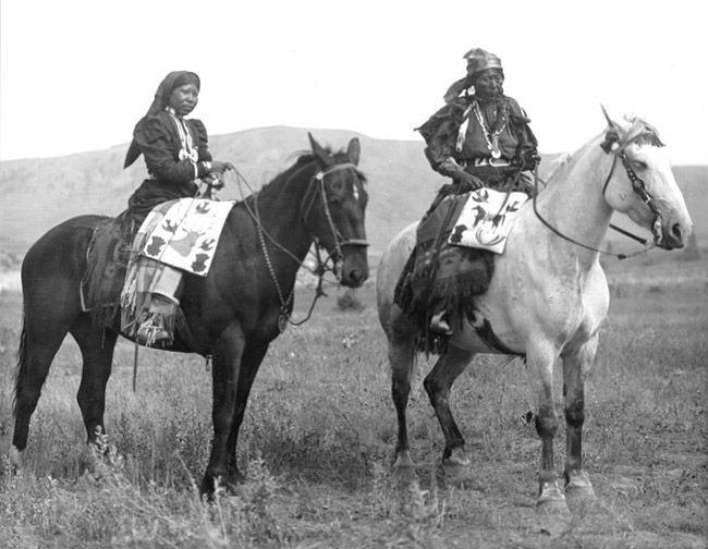 Nez Perce Horse 1000 images about Nez Perce Horse on Pinterest Coats Horse farms