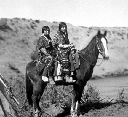 Nez Perce Horse The Nez Perce Horse Dreamer Horse Farm