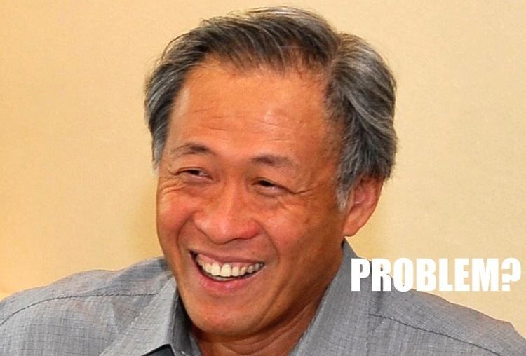 Ng Eng Hen Did Defence Minister Ng Eng Hen who is all for fewer