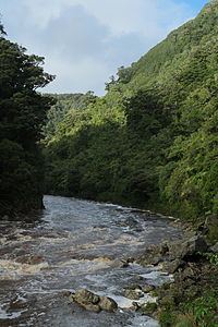 Ngakawau River httpsuploadwikimediaorgwikipediacommonsthu