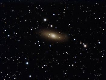 NGC 1023 httpsuploadwikimediaorgwikipediacommonsthu
