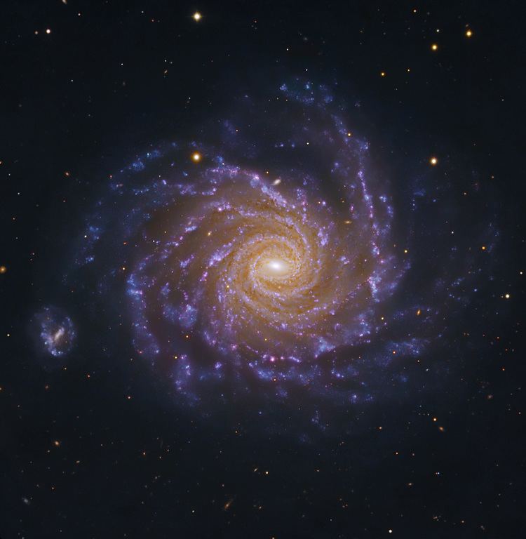 NGC 1232 NGC1232SubaruESOL