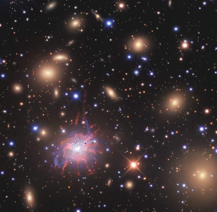 NGC 1275 Cosmotography Dark Matter and the Perseus Galaxy Cluster