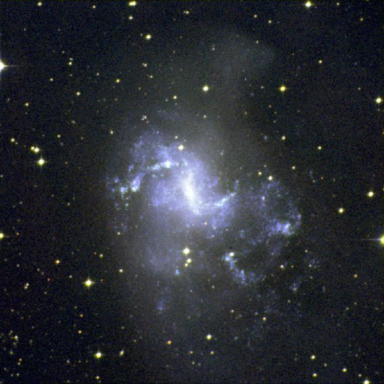 NGC 1313 The TopsyTurvy Galaxy ESO