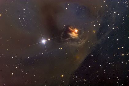 NGC 1555 NGC 1555 Wikipedia