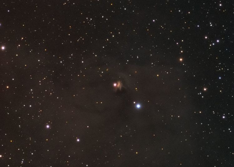 NGC 1555 NGC 1555 Feb 09 Starscape Imaging