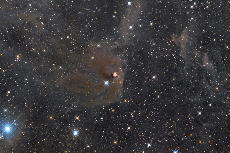 NGC 1555 NGC 1555