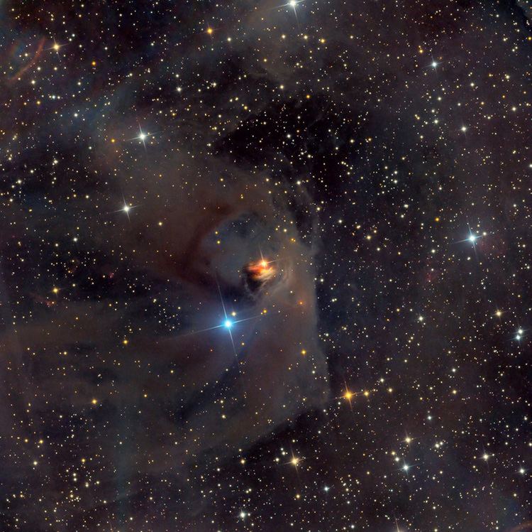 NGC 1555 Hind39s Variable Nebula NGC 1555 Billions and Billionscom