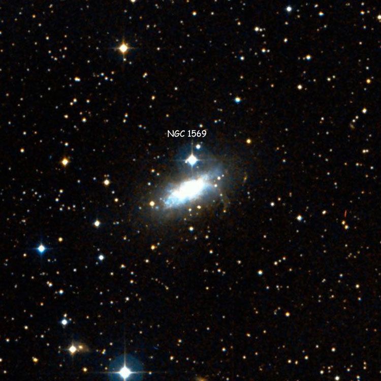 NGC 1569 New General Catalog Objects NGC 1550 1599