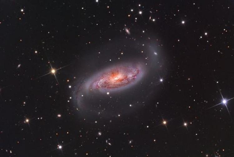 NGC 1808 NGC 1808 a barred spiral galaxy in Columba Anne39s Astronomy News