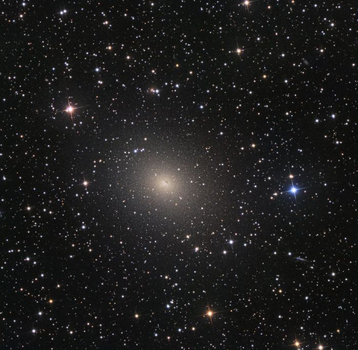 NGC 185 pantherobservatorycomgallerydeepskymediaNGC1