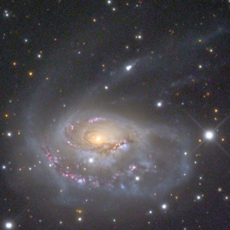 NGC 1961 New General Catalog Objects NGC 1950 1999