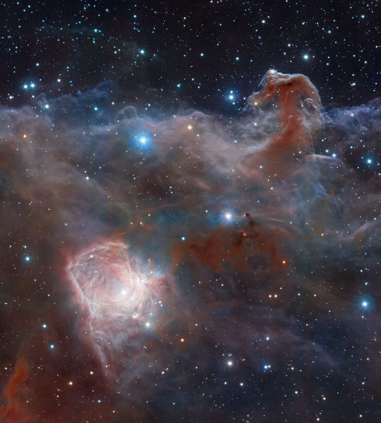 NGC 2023 The Horsehead Nebula amp NGC 2023 in Orion Anne39s Astronomy News