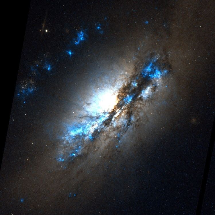 NGC 2146 NGC 2146 Wikiwand