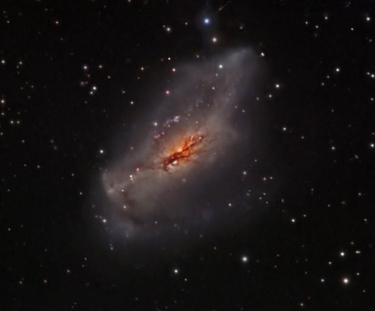 NGC 2146 annesastronomynewscomwpcontentuploads201202