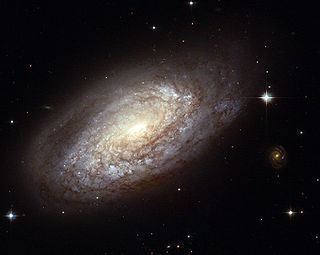 NGC 2397 httpsuploadwikimediaorgwikipediacommonsthu